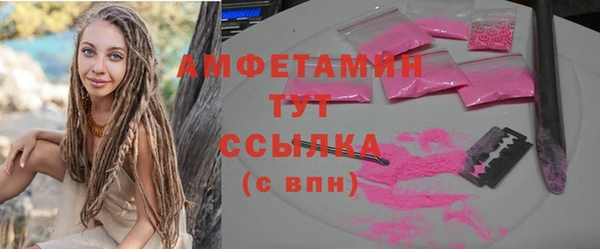 дживик Абаза