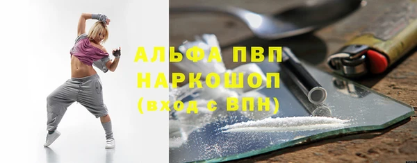 дживик Абаза