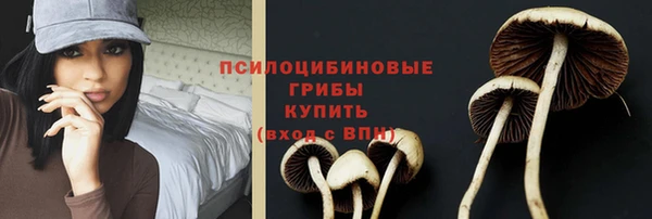 дживик Абаза