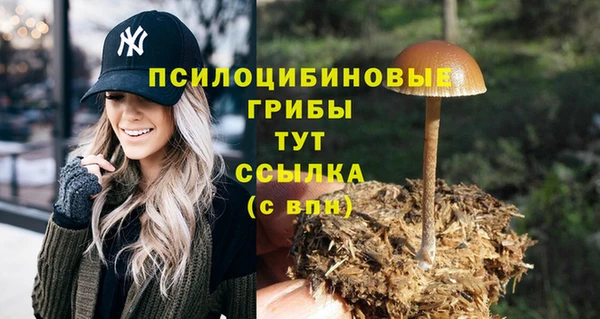 дживик Абаза