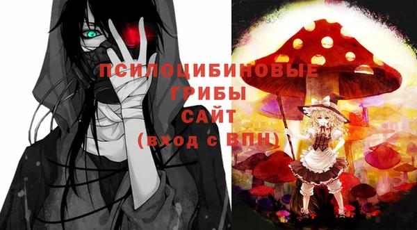 дживик Абаза