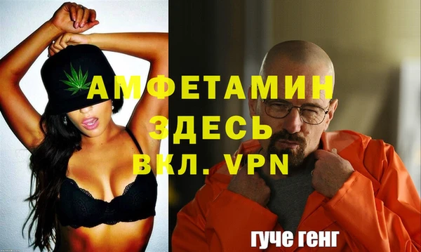 дживик Абаза