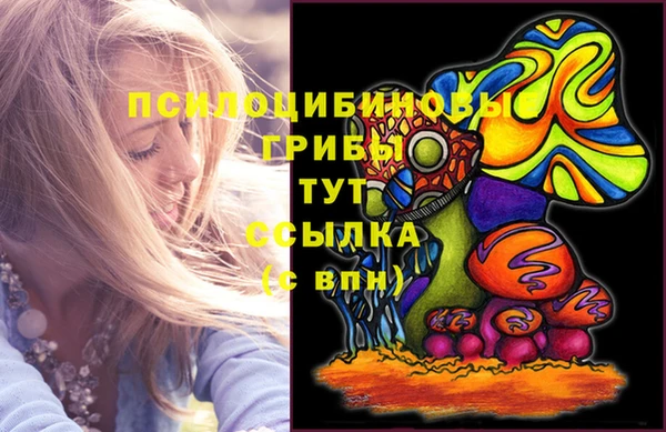 бошки Мегион