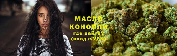 дживик Абаза