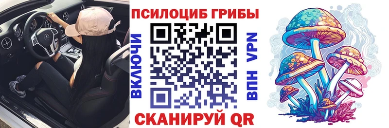 купить наркотики цена Исилькуль Псилоцибиновые грибы мицелий